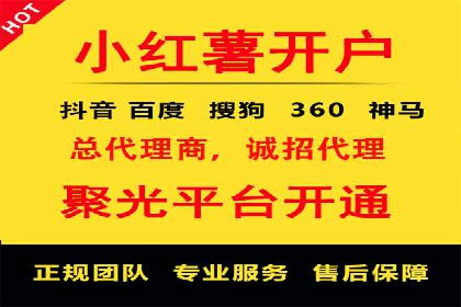 某电商平台的SEM运营实战与效果分析